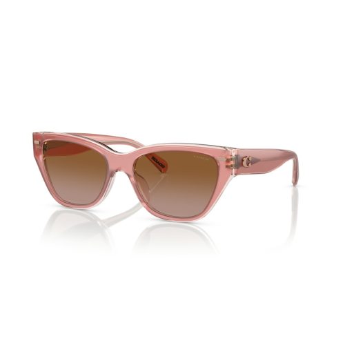 Coach HC8370U Dames - Cat eye Roze Transparant