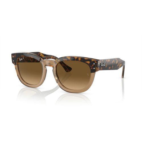 Ray-Ban Mega Hawkeye RB0298S - Vierkant Havana Transparent Polarized glazen