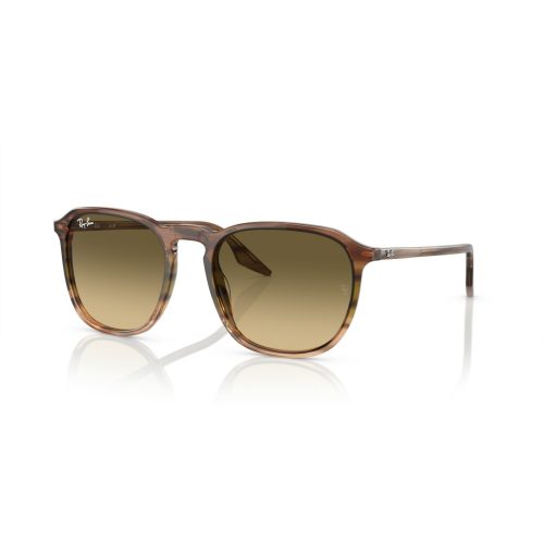 Ray-Ban RB2203 - Vierkant Bruin Groen