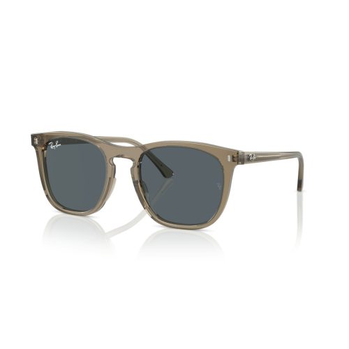 Ray-Ban RB2210 - Vierkant Transparant Grijs