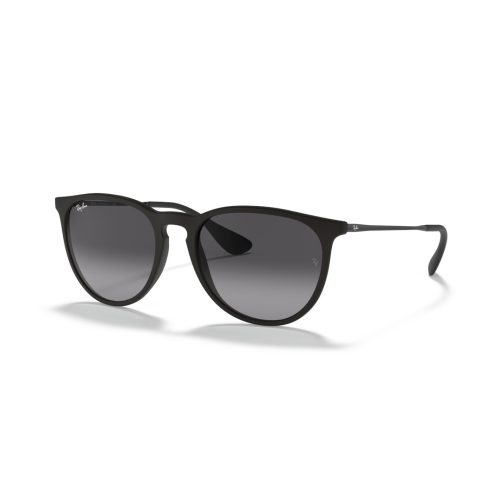 Ray-Ban Erika Classic RB4171 Dames - Rond Zwart