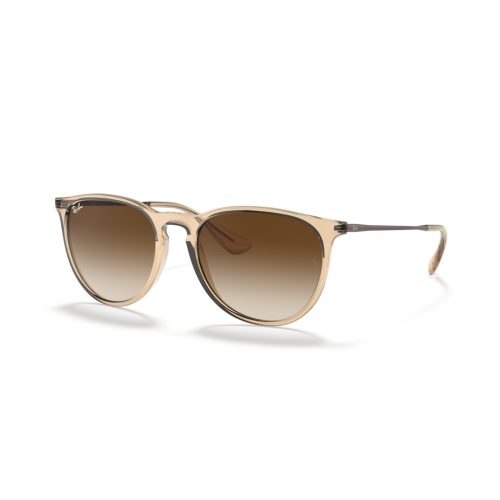 Ray-Ban Erika Color Mix RB4171 Dames - Rond Bruin