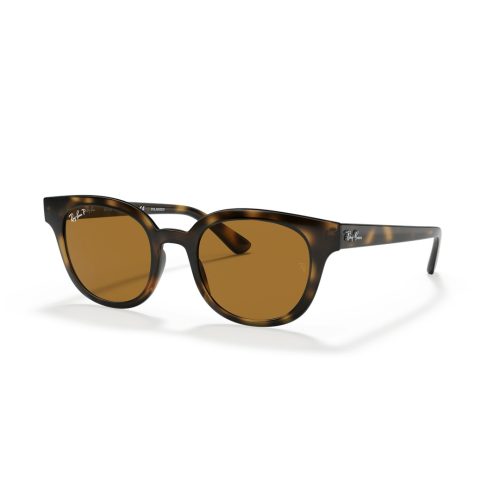 Ray-Ban RB4324 - Vierkant Bruin Polarized glazen