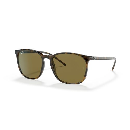 Ray-Ban RB4387 - Rechthoekig Havana