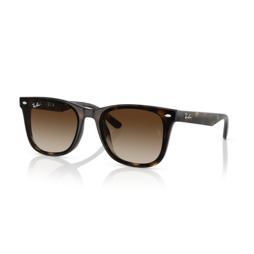 Ray-Ban RB4420 - Vierkant Havana Havana