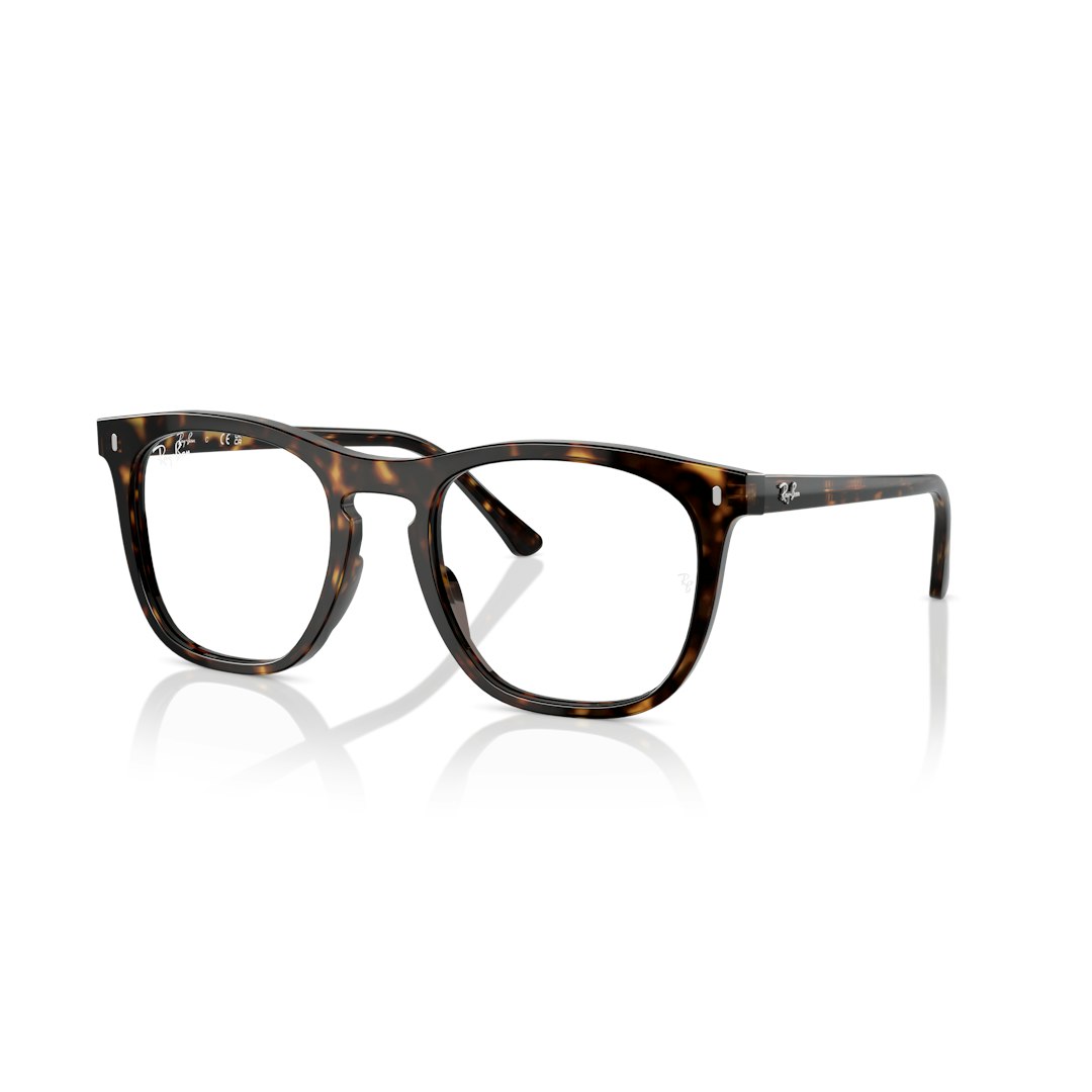 Ray-Ban RX2210V Heren
