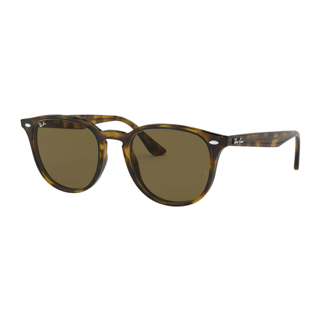 Ray-Ban RB4259 - Rond Bruin