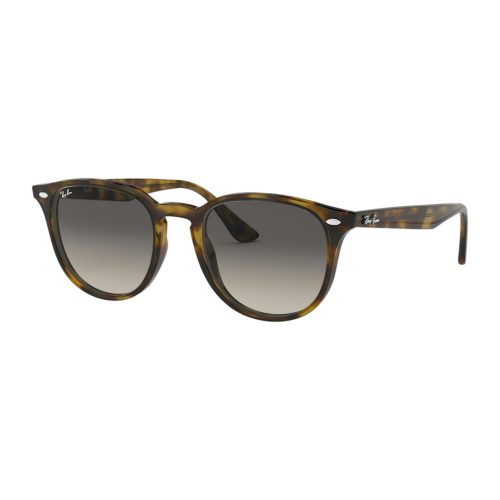 Ray-Ban RB4259 - Rond Zilver