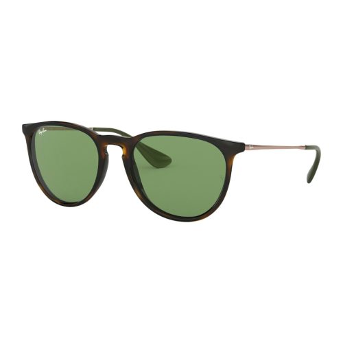 Ray-Ban Erika Color Mix RB4171 - Rond Havana