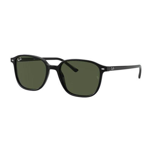 Ray-Ban Leonard RB2193 - Vierkant Zwart Polarized glazen