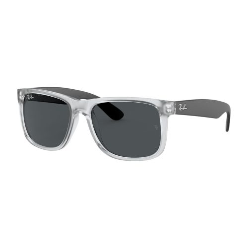 Ray-Ban Justin Color Mix RB4165 Heren - Vierkant Transparant